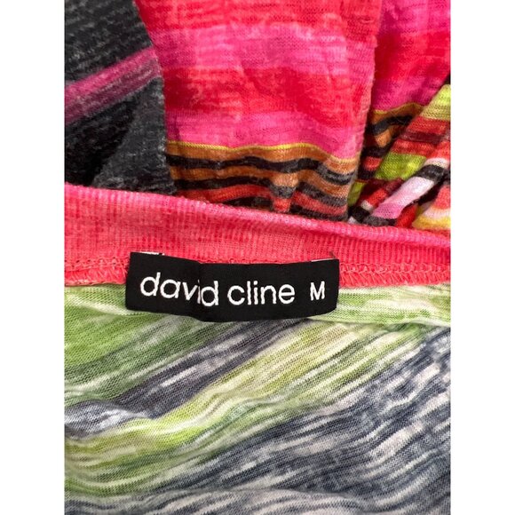 DAVID CLINE Stripe & Fun Tops 3/4 Length Sleeve Lot of 2 Sz M EUC - Picture 4 of 9